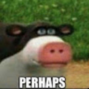 Meet your Posher, Evan